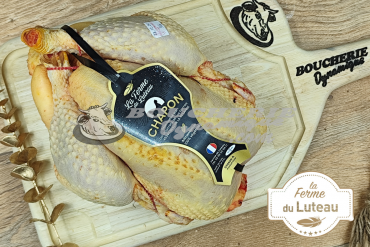 Chapon de La Ferme du Luteau