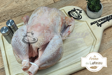 Poule de La Ferme du Luteau