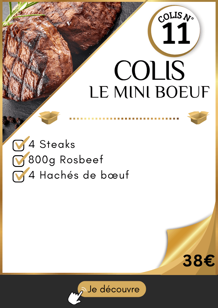 Colis pas cher à base de boeuf format mini